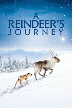 watch A Reindeer's Journey