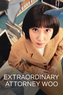 watch Extraordinary Attorney Woo