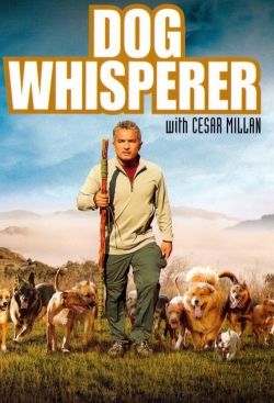watch Dog Whisperer