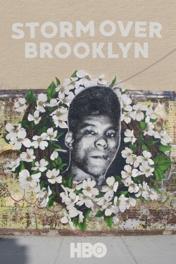 watch Yusuf Hawkins: Storm Over Brooklyn