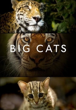 watch Big Cats