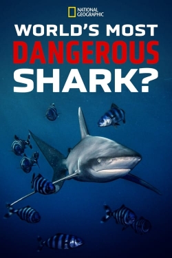 watch World's Most Dangerous Shark?