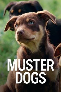 watch Muster Dogs