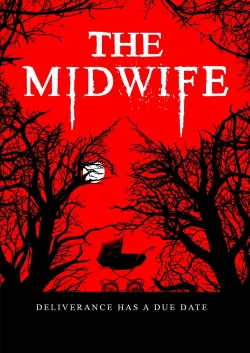 watch The Midwife