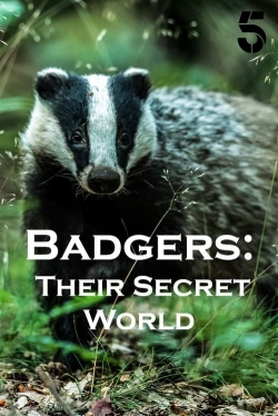 watch Badgers: Their Secret World