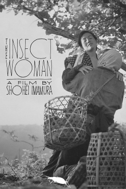 watch The Insect Woman