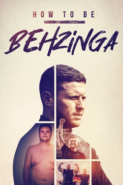 watch How to Be Behzinga