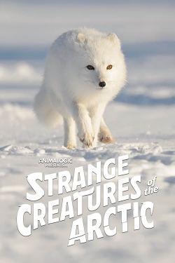 watch Strange Creatures of the Arctic