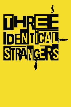 watch Three Identical Strangers