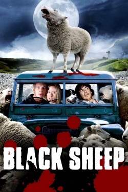 watch Black Sheep