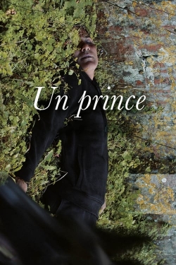 watch A Prince