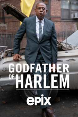 watch Godfather of Harlem