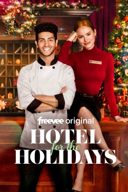 watch Hotel for the Holidays
