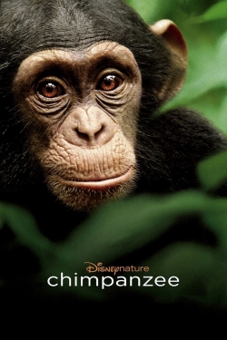 watch Chimpanzee