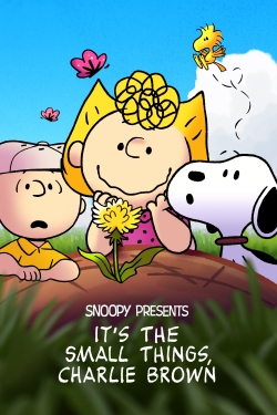 watch Snoopy Presents: It’s the Small Things, Charlie Brown