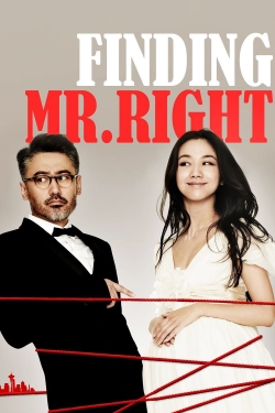 watch Finding Mr. Right