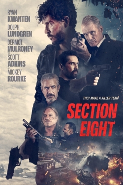 watch Section 8