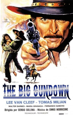 watch The Big Gundown