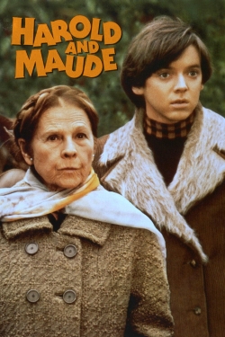 watch Harold and Maude