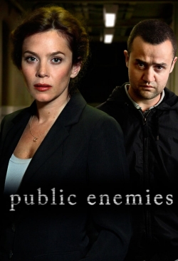 watch Public Enemies