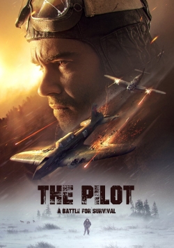 watch The Pilot. A Battle for Survival