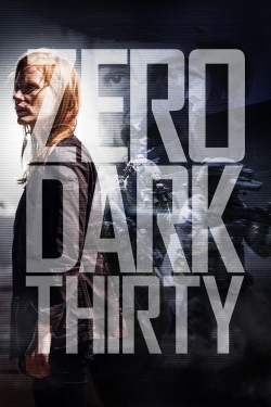 watch Zero Dark Thirty