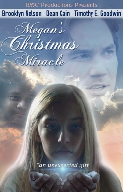 watch Megan's Christmas Miracle