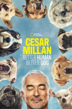 watch Cesar Millan: Better Human, Better Dog