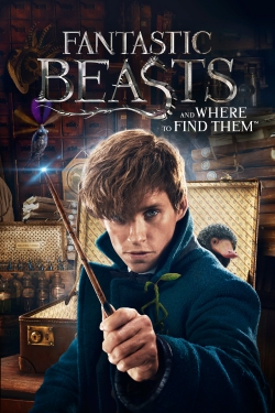 watch Fantastic Beasts and Where to Find Them