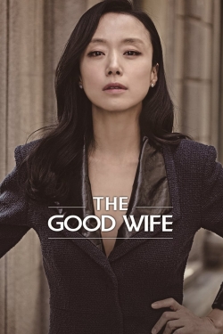 watch The Good Wife