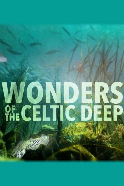 watch Wonders of the Celtic Deep