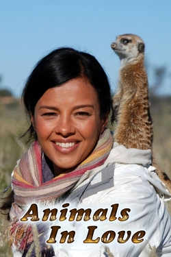 watch Animals in Love
