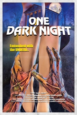 watch One Dark Night