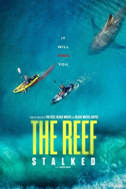 watch The Reef: Stalked